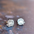 Protea cutout studs