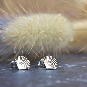 Scallop shell studs