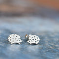 Hedgehog studs